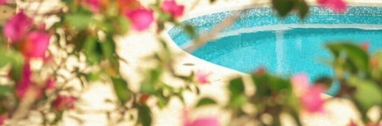 其他 Stevie WonderLand