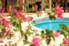 其他 Stevie WonderLand