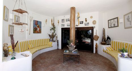 其他 2 Stevie WonderLand