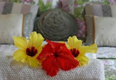 Others 5 Pousada Villa do Sol