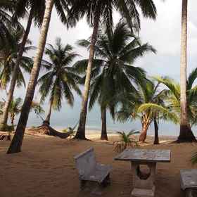 Primary image 1 ปาล์ม พอยท์ วิลเลจ, โรงแรม & ที่พัก ร้านกาแฟบนต้นไม้