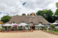 其他 The Hatchet Inn