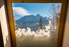 기타 6 Willa Cztery Pory Roku