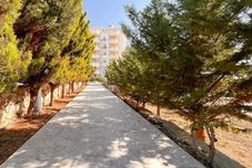 Others Watercastle Suits