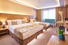 อื่นๆ Atro Hotel