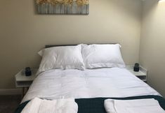 其他 2 Springfield