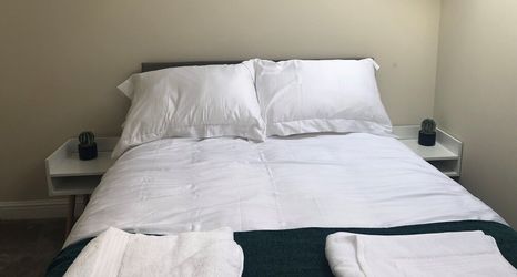 其他 2 Springfield