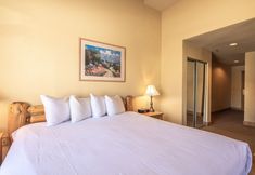 Others 4 Cozy Pet-friendly King Studio In Mt. Crested Butte Condo - No Cleaning Fee! by RedAwning