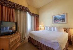 Others 2 Cozy Pet-friendly King Studio In Mt. Crested Butte Condo - No Cleaning Fee! by RedAwning