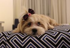 อื่นๆ 3 Mural Living Hotel Manaus