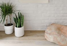 其他 5 The Green Room Hotel