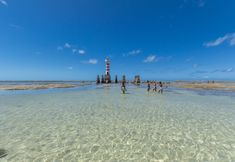 其他 7 Verano Pajuçara by Tropicalis