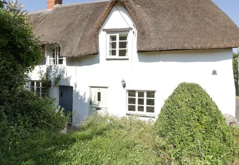 Lainnya 1 Old Thatch