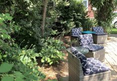 その他 7 The York House