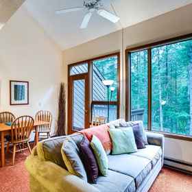 Primary image 1 85SW - 벽난로 - 와이파이 - 와셔/드라이어 - 식기세척기 - 최대 4명 수용 가능, 왓컴 카운티 호텔