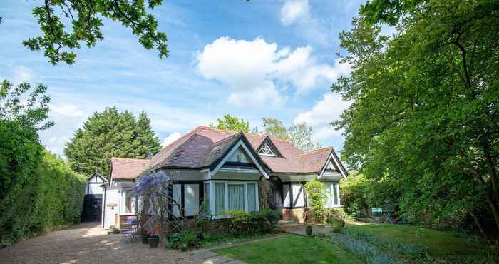 Lain-lain Pinewood Cottage Deluxe Self Catering Apartments