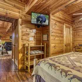 Room 1 Lil Country Cabin #262, Hatfield and McCoy Dinner Show Hotels