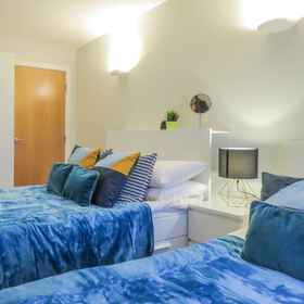 Room 1 Tudors eSuites City Centre House, Big Brum Hotels