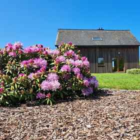 Primary image1Gîte A Bicyclette,巴斯托涅区飯店