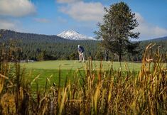 Others 7 Kinglet Lane 46