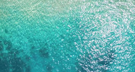 Others 2 Bobo by The Stay