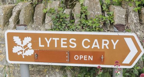 Others 2 Garden View