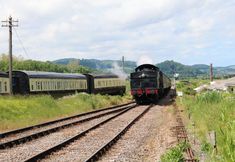 Others 3 Garden View