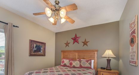 기타 2 Bear Crossing by VTrips