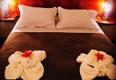 其他 5 Pousada Recanto das Marias