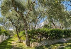 기타 2 Ferienwohnung "ulivo" mit Pool und Privatstrand