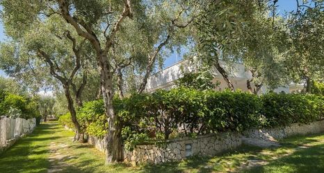 기타 2 Ferienwohnung "ulivo" mit Pool und Privatstrand