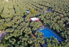 기타 3 Ferienwohnung "ulivo" mit Pool und Privatstrand