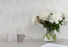 Others 7 Elite Apartments Beachfront