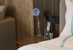 Others 5 Xinghu Peninsula Hotel (Haikou Provncial Government Sun And mood Duty Free Shop)