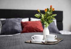 Others 7 Asana Apartament by Dream