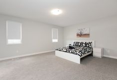 其他 5 Luxury Entire house mins Niagara falls & Brock uni