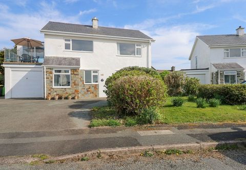 อื่นๆ Swn Y Wylan