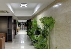 其他 2 Leo suites Hotel