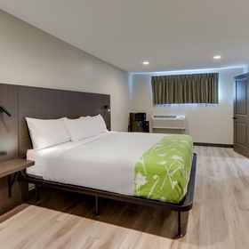 Primary image 1 The Shamrock, Chicago Hotels