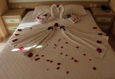 기타 5 Kemer Star Hotel