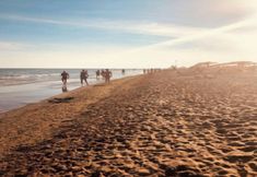 อื่นๆ 6 Flat With Luminous Terrace by the sea - Beahost