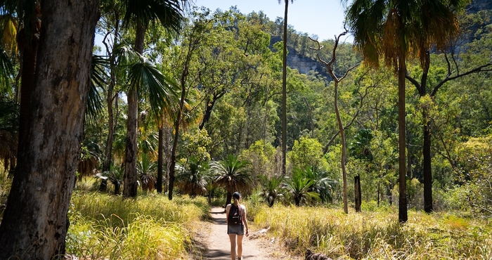 Others BIG4 Breeze Holiday Parks - Carnarvon Gorge