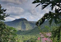 Lainnya 2 Terra Booma