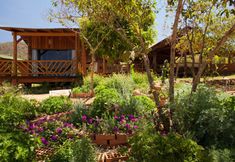 Lainnya 4 Terra Booma