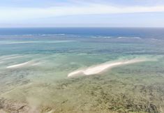 その他 7 Twiga Beach & Spa