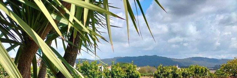 其他 Quinta de Castelhão