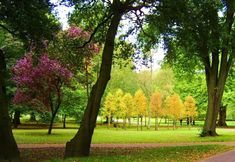 其他 6 The Loft 2BR Duplex 82 Cathedral Cardiff Parking