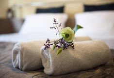 Others 6 Hotelroom In Berlin n9 Prenzlauer Berg New