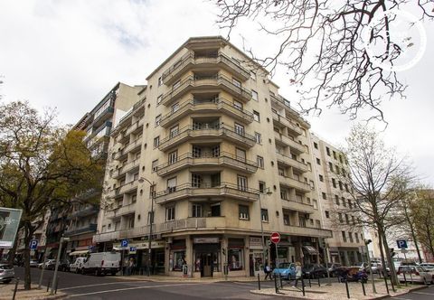 기타 Saldanha Concept by Homing