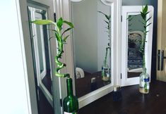 기타 2 Ali BaBa Guest Haus